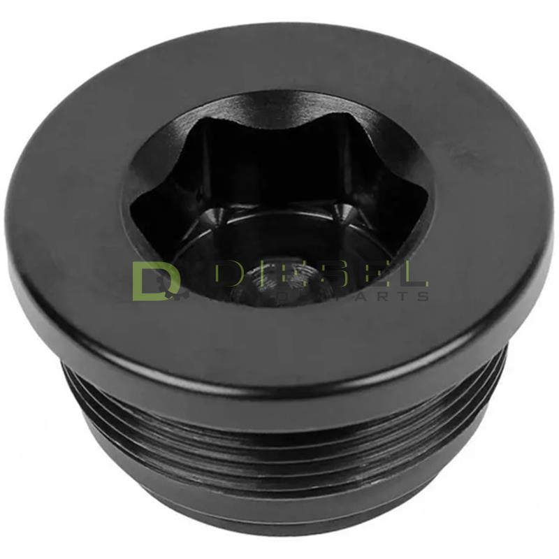 Differential Plug