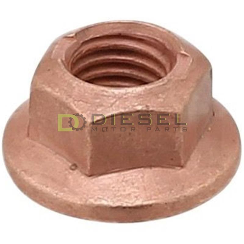 Intake Manifold Nut