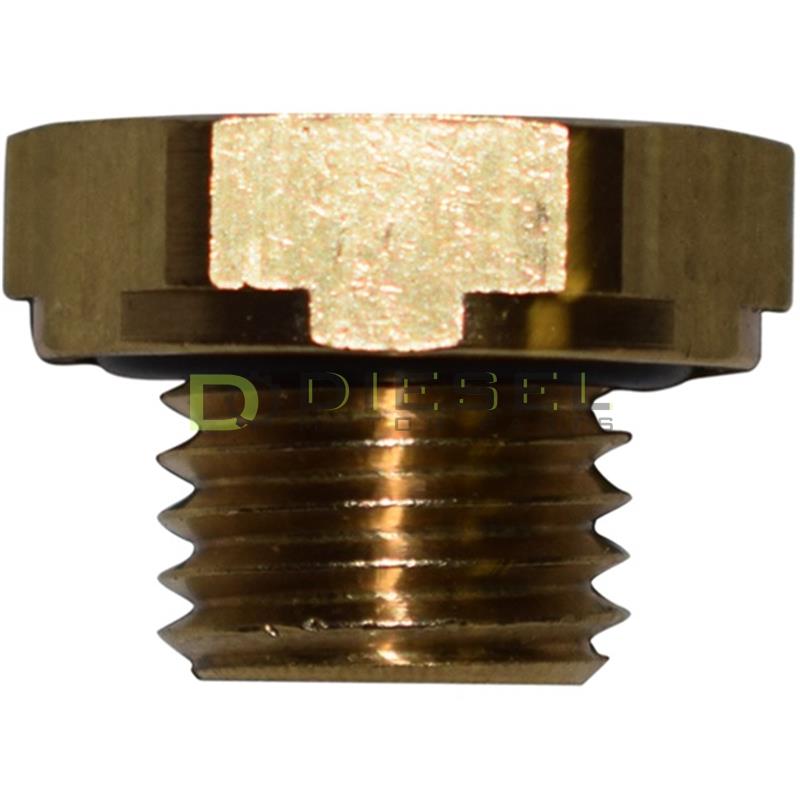 Screw Plug